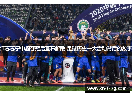 江苏苏宁中超夺冠后宣布解散 足球历史一大震动背后的故事