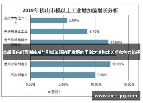 英超俱乐部青训体系与引援策略协同发展的平衡之道构建长期竞争力路径