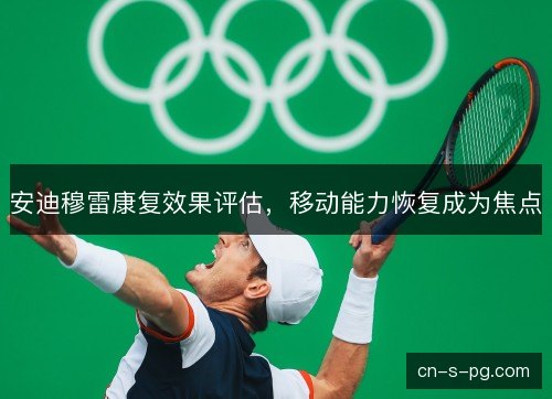安迪穆雷康复效果评估,移动能力恢复成为焦点 安迪穆雷康复效果评估,移动能力恢复成为焦点